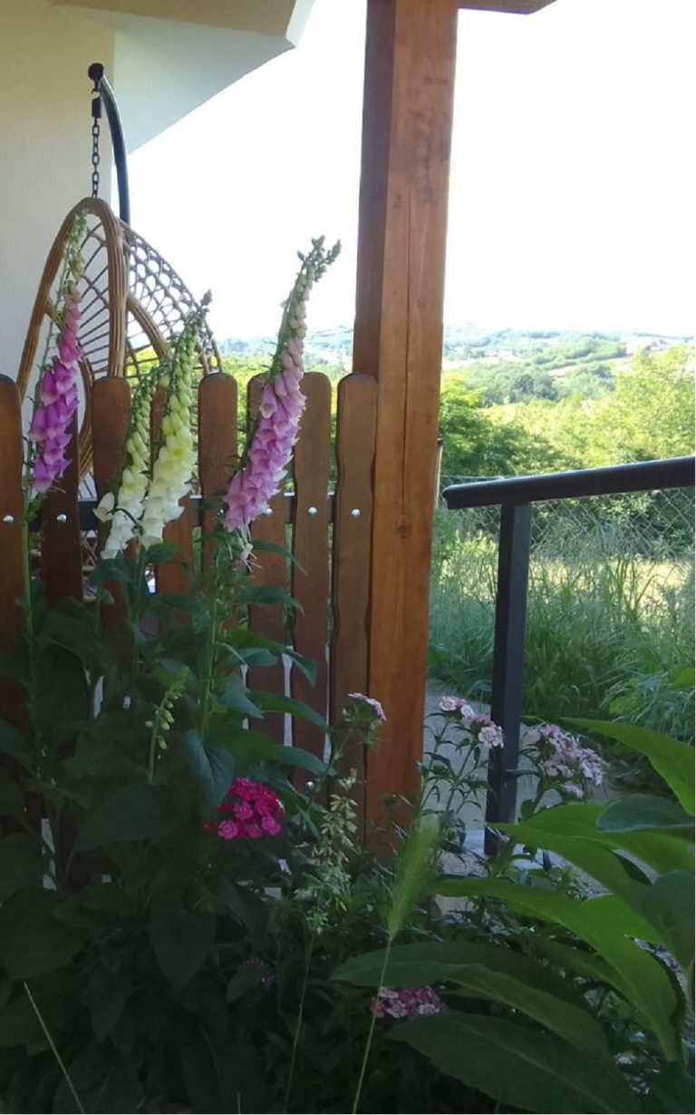 cveće ispred stare srpske kuće zemička