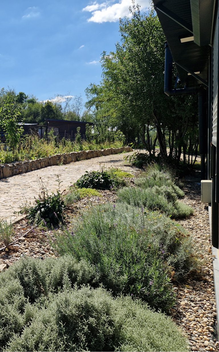 cvetni vrt kod limenka