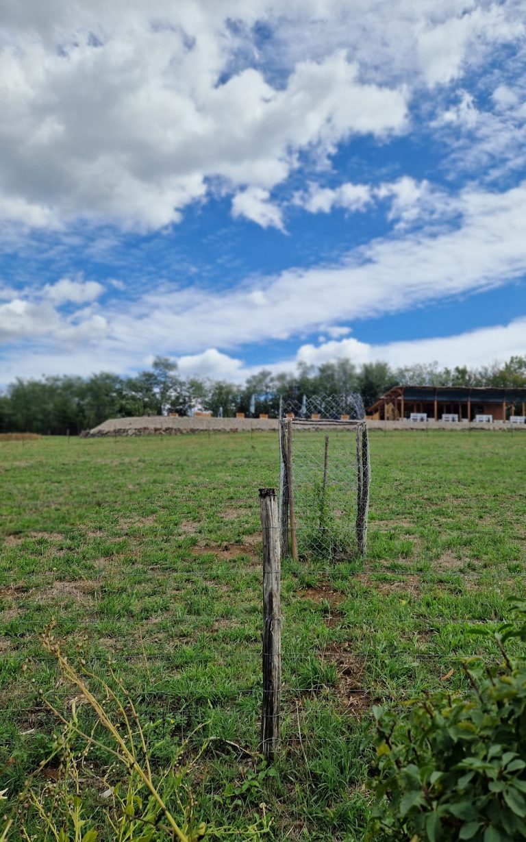 drvena koliba i pogled drvenko