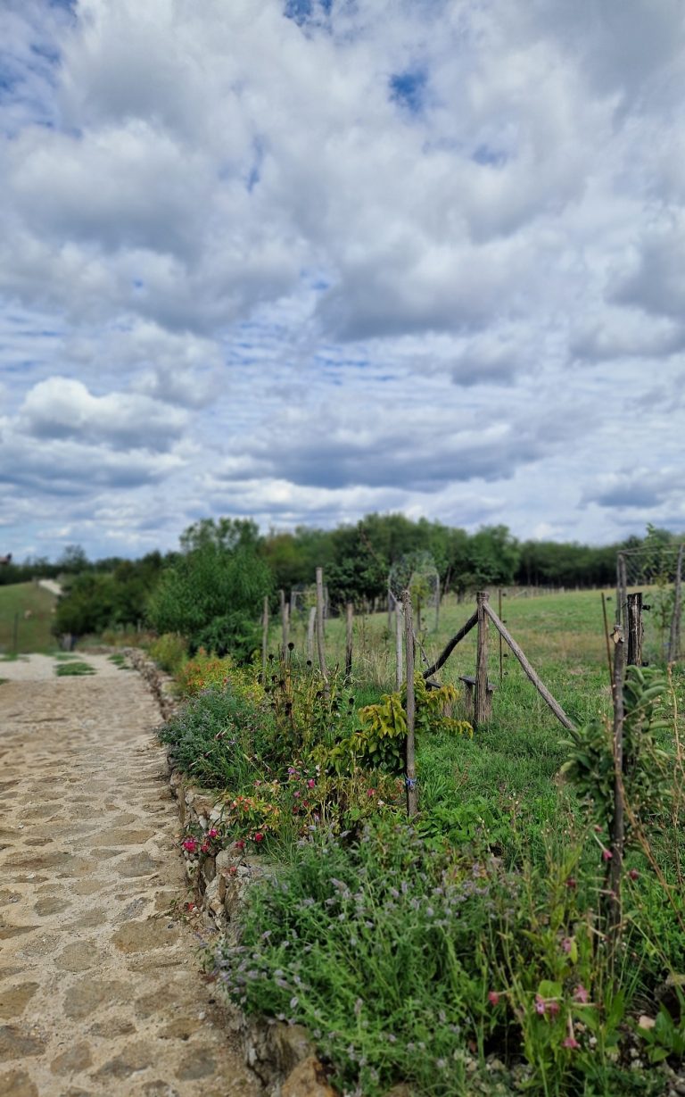 proplanci i livade oko drvenka