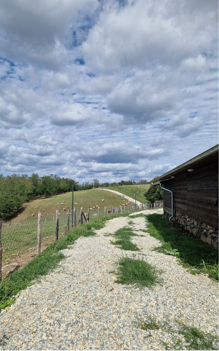 seoski putevi kod zemičke