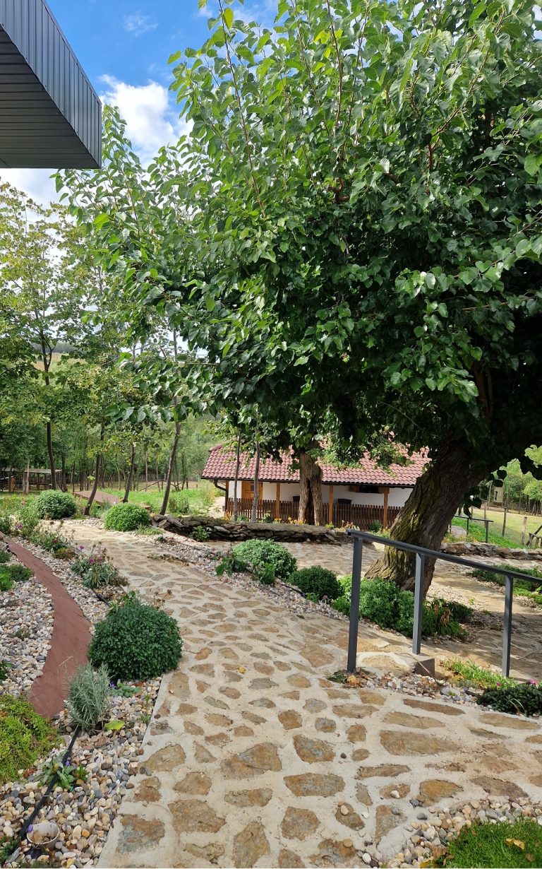 staze i cveće kod drvenka