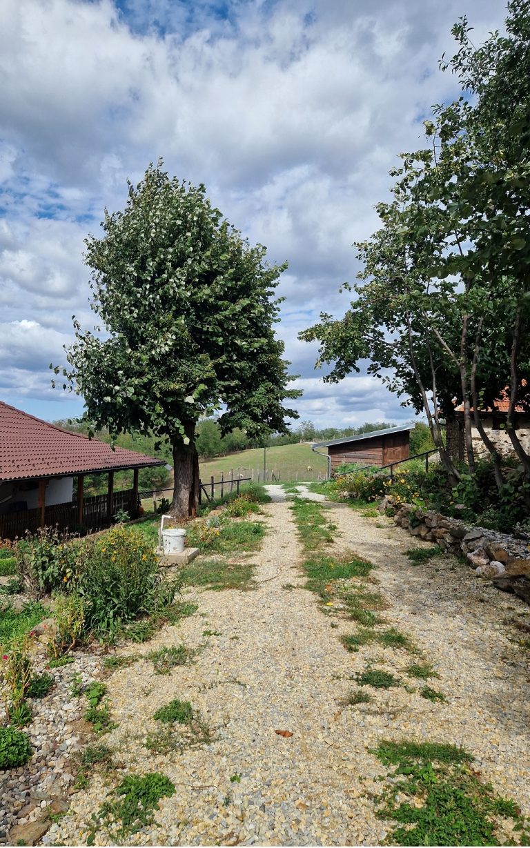 šumadijski pogledi kod zemičke