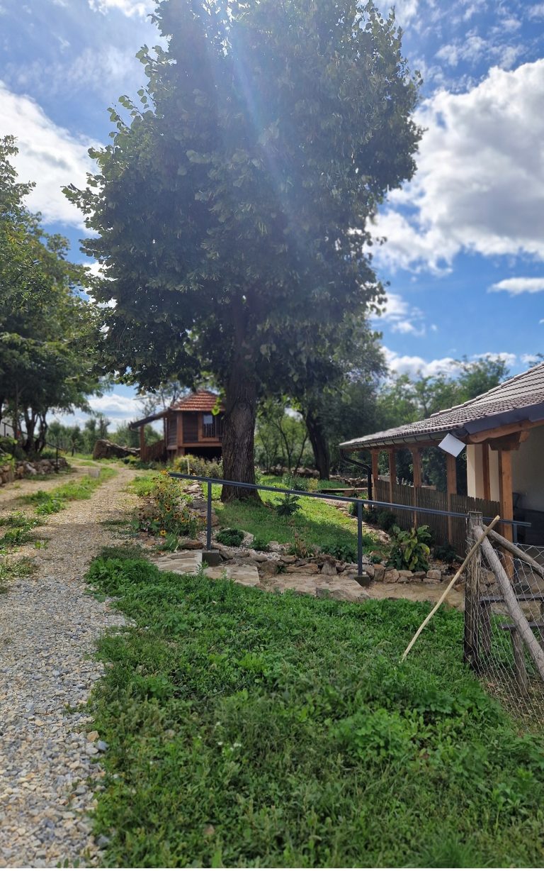 zraci sunca kod zemičke